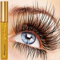 Eyebrows eyelash makeup