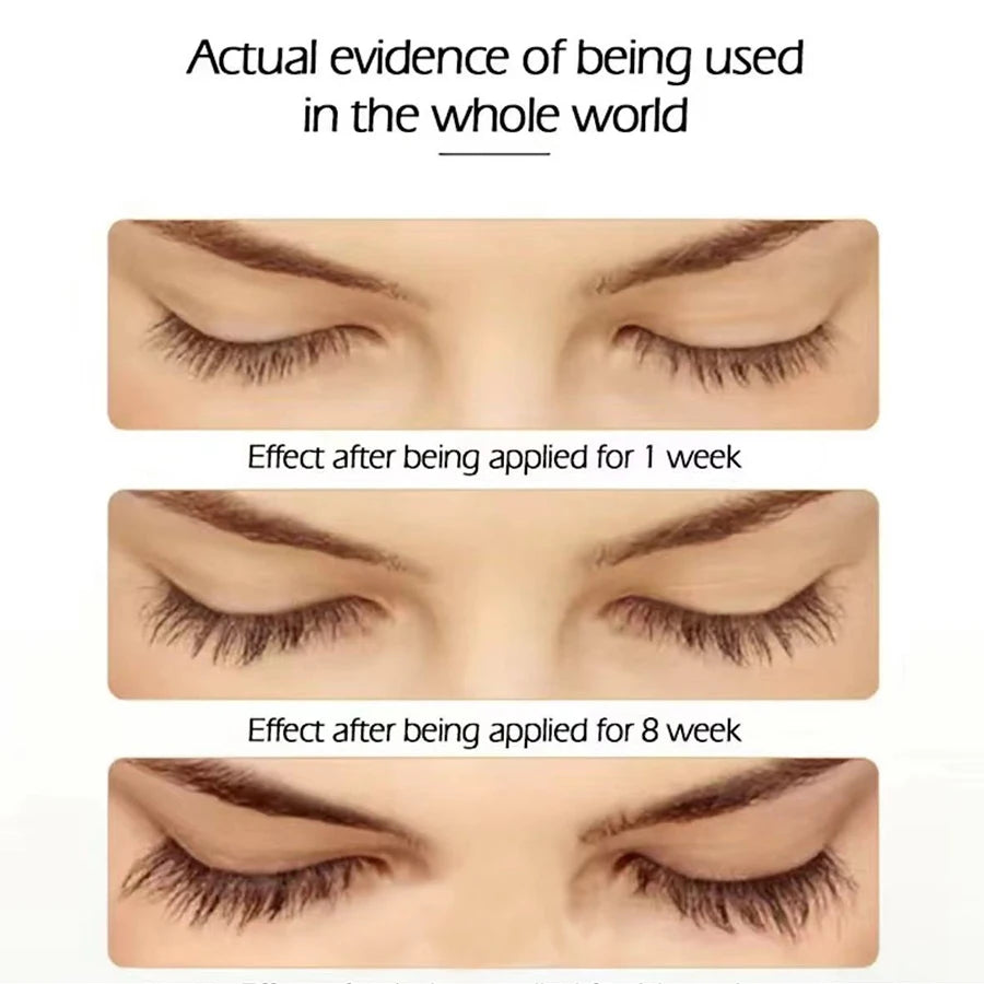 Eyebrows eyelash makeup